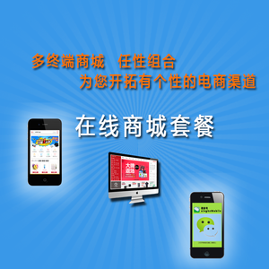 寶樂(lè)電商ERP系統(tǒng) 網(wǎng)絡(luò)商城的智能化管理與定制開(kāi)發(fā)解決方案